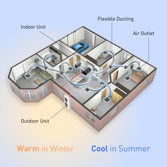Placeholder Image 1